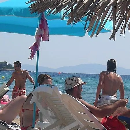 In Bb - Welcome To ,,petunia,, In Neos-marmaras,xalkidiki ,greece,in Para18dise 네오스마르마라스