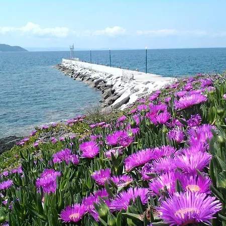 In Bb - Welcome To ,,petunia,, In Neos-marmaras,xalkidiki ,greece,in Para18dise 게스트하우스